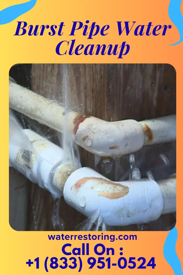 Burst Pipe Water Cleanup in Bonneau, SC