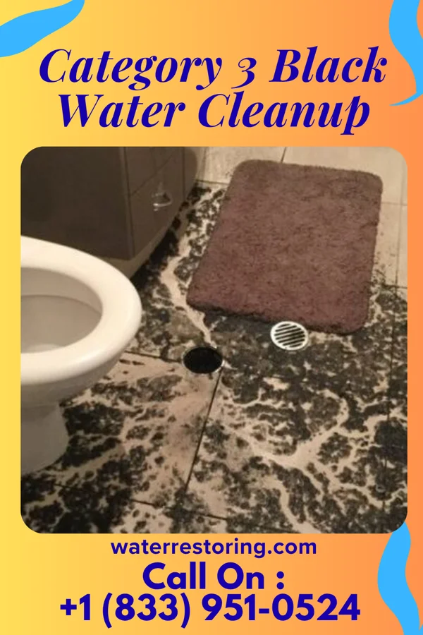 Category 3 Black Water Cleanup in Bonneau, SC