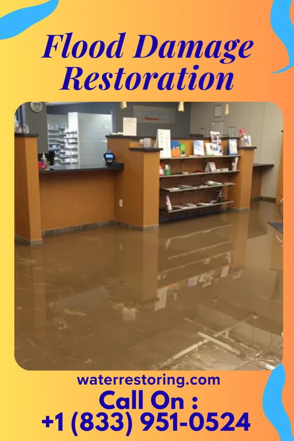 Flood Damage Restoration in Bonneau, SC