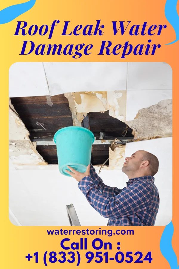 Roof Leak Water Damage Repair in Bonneau, SC
